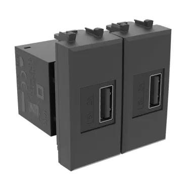 Avanti USB зарядное устройство модульное, , Черный матовый, 2 модуля