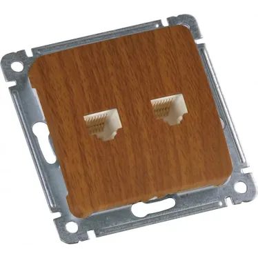 MASTER Розетка компьютеная и телефонная скрытой установки, в рамку, дуб