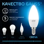 Лампа светодиодная Свеча 6.5W 550lm 6500К E14 LED 1/10/100 | 103101307 | Gauss