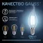 Лампа светодиодная LED 5Вт E14 220В 4100К свеча на ветру | 104801205 | Gauss