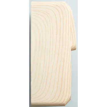 ЭТЮД блок открытой установки Розетка с зеземлением со шторками + Выключатель 1-клавиш., сосна