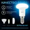 Лампа светодиодная R39 4W 370lm 6500K Е14 LED 1/10/100 | 106001304 | Gauss