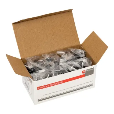 Переключатель BD21 2P короткая ручка NO