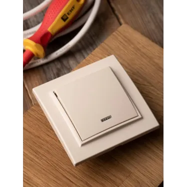 Выключатель одноклавишный СП Минск с индикатором 10А бежевый