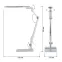 Светильник настольный светодиодный NLED-497-12W-S на струбцине и с основанием серебро