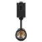 Светильник CLIP-38-SPOT-R146-6W Warm3000 (BK, 24 deg, 24V) | 026841 | Arlight