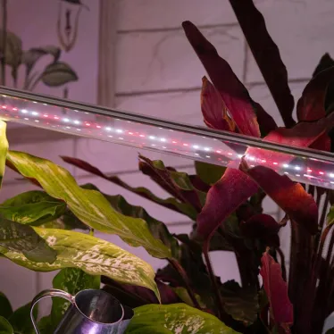 Лампа светодиодная полноспектральная Т8 с красными и белыми светодиодами для профессионального выращивания растений FITO-18W-Ra90-Т8-G13-NL