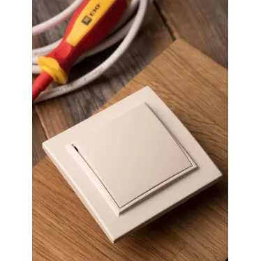 Выключатель одноклавишный СП 10А бежевый Минск