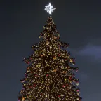 Светодиодная гирлянда ARD-STRING-PRO-10000-GREEN-100LED-STD WARM (230V, 7W) | 025854 | Arlight