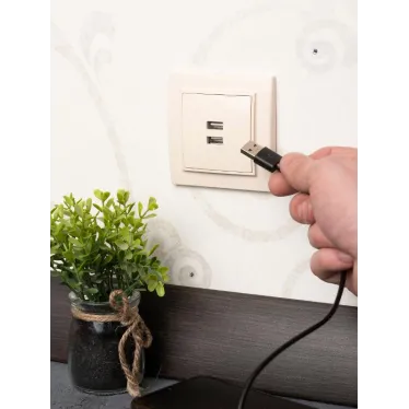 Розетка Минск USB 2-местная СП 2,1А бежевая