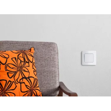 Выключатель одноклавишный - Legrand Inspiria - 10А 250В безвинтовые зажимы - белый