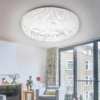 Светильник потолочный Классик без ДУ SPB-6 - 18 Onyx светодиодный 18 Вт