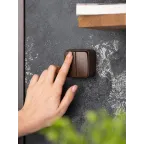 Выключатель 2-клавишный ОП Минск 10А темное дерево