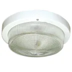 Светильник НПП-03-100-002 (Селена 2)