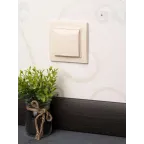 Розетка одноместная СП с заземлением Минск с крышкой 16А бежевая с защитными шторками