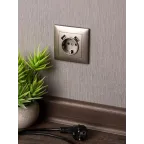 Валенсия лицевая панель розетки 1-местной с/з 16А кашемир с защ. штор. с 2 USB 2,1А