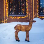 Акриловая светодиодная фигура "Бурый олень " 100 см, 380 светодиодов, IP 44, понижающий трансформатор в комплекте, | 513-305 | NEON-NIGHT