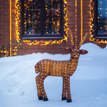 Акриловая светодиодная фигура "Бурый олень " 100 см, 380 светодиодов, IP 44, понижающий трансформатор в комплекте, | 513-305 | NEON-NIGHT