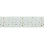 Лента RT 2-2500 24V Cool 8K 5x2 (2835, 875 LED, LUX) (Arlight, 36 Вт/м, IP20)