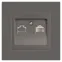 Розетка Intro Accent 6-303-09 информационная RJ45, IP20, СУ, титан