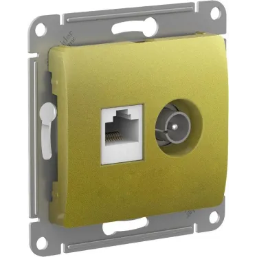 GLOSSA РОЗЕТКА двойная ТВ + компьютерная RJ45, кат. 5Е, ФИСТАШКОВЫЙ