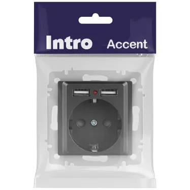 Розетка Intro Accent 6-410-07 P+E Schuko со шторками, 16А-250В + 2хUSB, IP20, СУ, графит