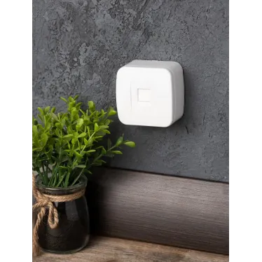 Розетка Минск Phone 1-местная ОП белая