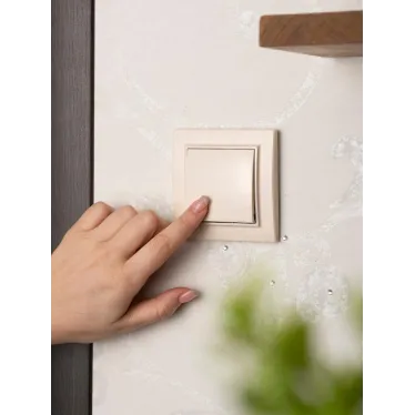 Выключатель одноклавишный СП 10А бежевый Минск