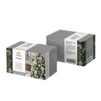 Гирлянда "Твинкл Лайт" 10 м, темно-зеленый ПВХ, 80 LED, цвет белый | 303-045 | NEON-NIGHT