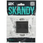 SKANDY Розетка компьютерная двойная RJ45 кат.5E SK-K03T титан IEK