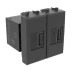 Avanti USB зарядное устройство модульное, , Черный матовый, 2 модуля