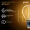 Лампа светодиодная Filament Шар 13W 1100lm 2700К Е14 LED 1/10/50 | 105801113 | Gauss
