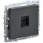 BRITE Розетка компьютерная RJ45 кат.6 РК11-БрГ графит IEK