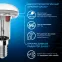 Лампа светодиодная R39 4W 370lm 6500K Е14 LED 1/10/100 | 106001304 | Gauss