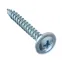Саморез по металлу 4,2х32 остроконечный (10шт) - пакет