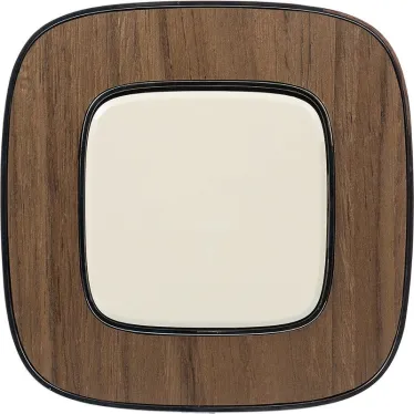 Valena ALLURE Выключатель 10АХ 250В с лицевой панелью Безвинтовые зажимы Слоновая кость