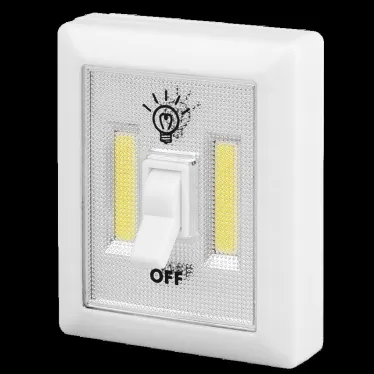 Светодиодный фонарь-светильник ''Выключатель'' TS2-L2W