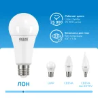Лампа светодиодная LED Elementary A67 30W E27 2390lm 6500K | 73239 | Gauss