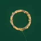 Гирлянда Роса 10 м, 100 LED, USB, теплое белое свечение | 315-976 | NEON-NIGHT