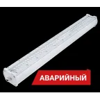 Diora Piton 48/5200 Д opal 4K А