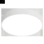 Светильник светодиодный ДПО31-60-121 Zefir RD 840 | 1258406121 | АСТЗ