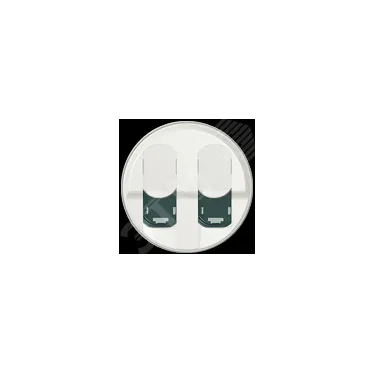 Celiane Белый Накладка компьютерной 2-ой розетки | 068252 | Legrand