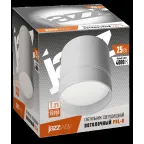 Светильник светодиодный ДПО-25w 4000K 1800Лм 100° IP20 белый