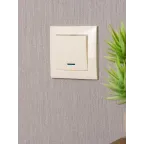 Валенсия выключатель 1-кл. 10А кремовый с индикатором