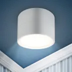 Светильник настенно-потолочный спот OL7 WH под лампу GX53 белый