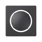 Накладка на 75305-, 75306-, 75315-, 75322-39 (69), S82,82N, графит