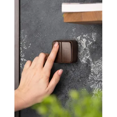 Выключатель 2-клавишный ОП Минск 10А темное дерево