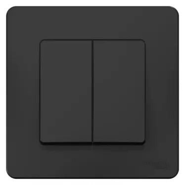 BLANCA скрытой установки двухклавишный переключатель (cх.6+6), 10A, 250B, антрацит