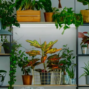 Лампа светодиодная полноспектральная Т8 с красными и белыми светодиодами для профессионального выращивания растений FITO-9W-Ra90-Т8-G13-NL