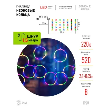 Светодиодная новогодняя гирлянда ЕGNIG - RI занавес Неоновые кольца 8 режимов 2,4*0,65 м мультиколор IP20